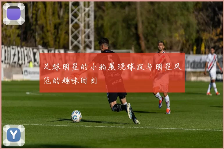 足球明星的小狗展现球技与明星风范的趣味时刻