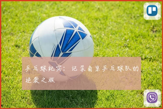 乒乓球纪实：记录南京乒乓球队的逆袭之旅