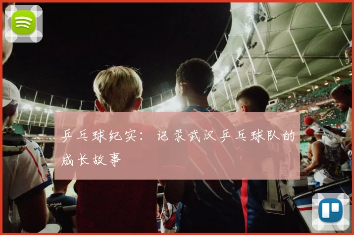 乒乓球纪实：记录武汉乒乓球队的成长故事